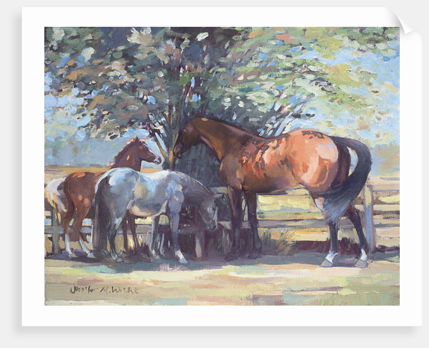 Horses - Summer Flies, 1990 by Jennifer Wright