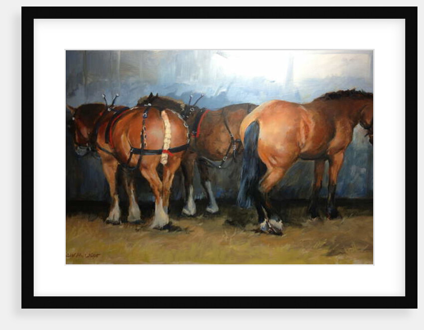 Horses - Heavy Horses - Chertsey Show, 2012 by Jennifer Wright