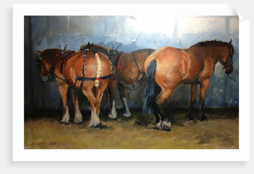 Horses - Heavy Horses - Chertsey Show, 2012 by Jennifer Wright