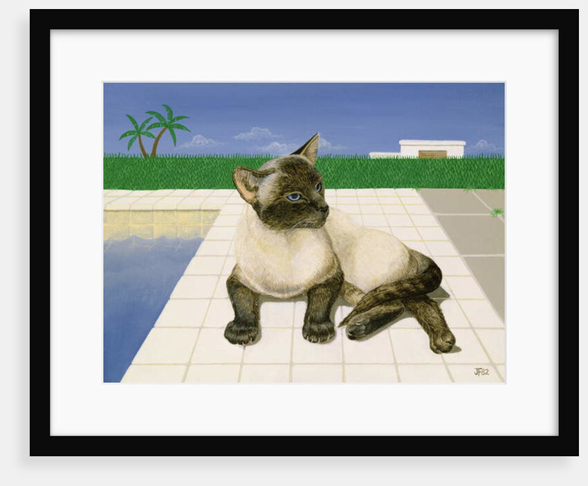 Siamese cat by a swimming pool by Joan Freestone