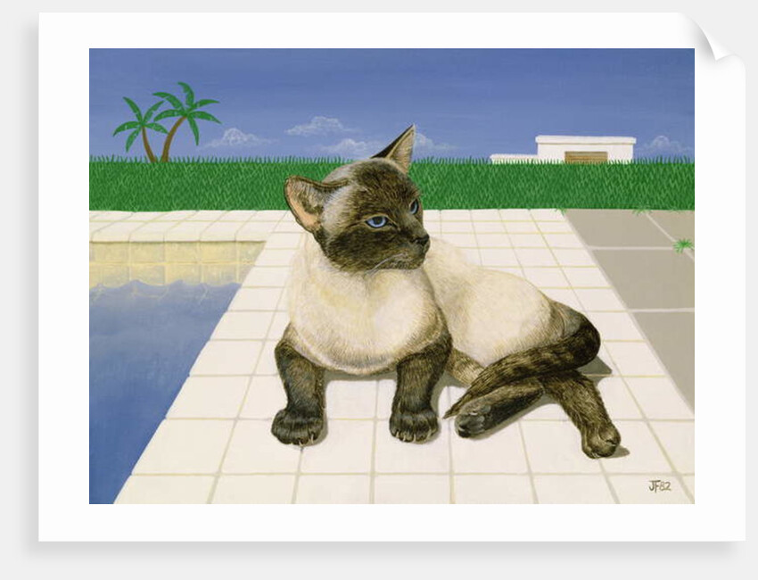 Siamese cat by a swimming pool by Joan Freestone