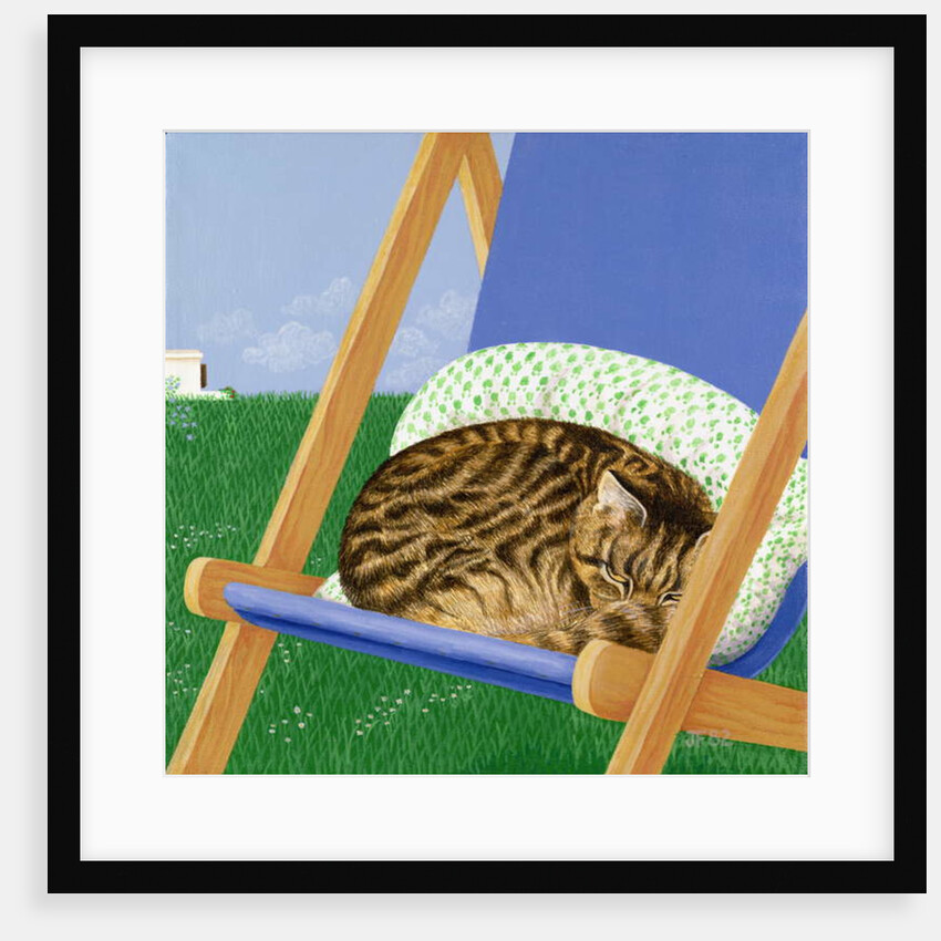 Tabby cat asleep in a deck chair by Joan Freestone
