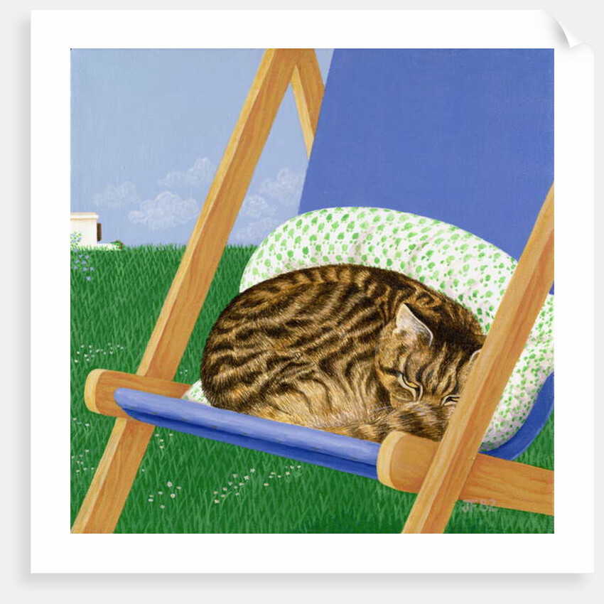 Tabby cat asleep in a deck chair by Joan Freestone