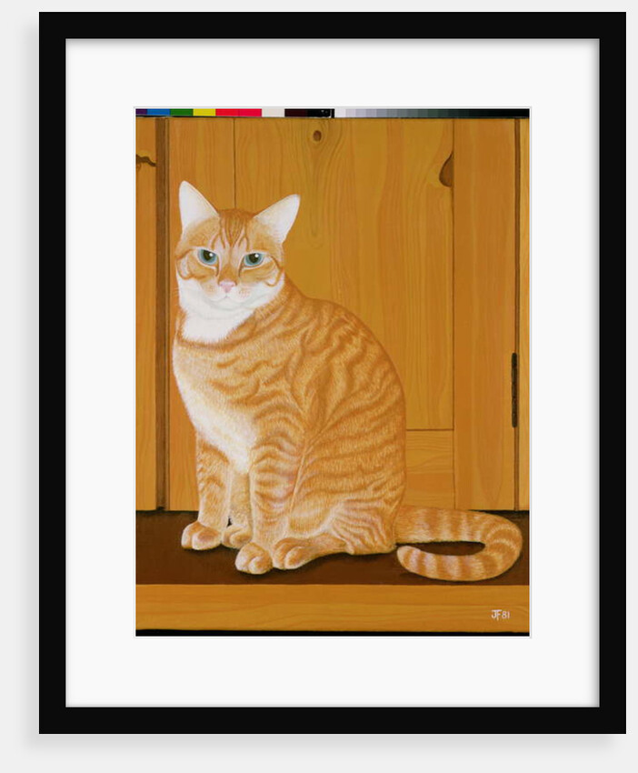 Marmalade cat by a door by Joan Freestone
