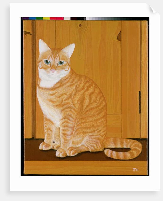 Marmalade cat by a door by Joan Freestone