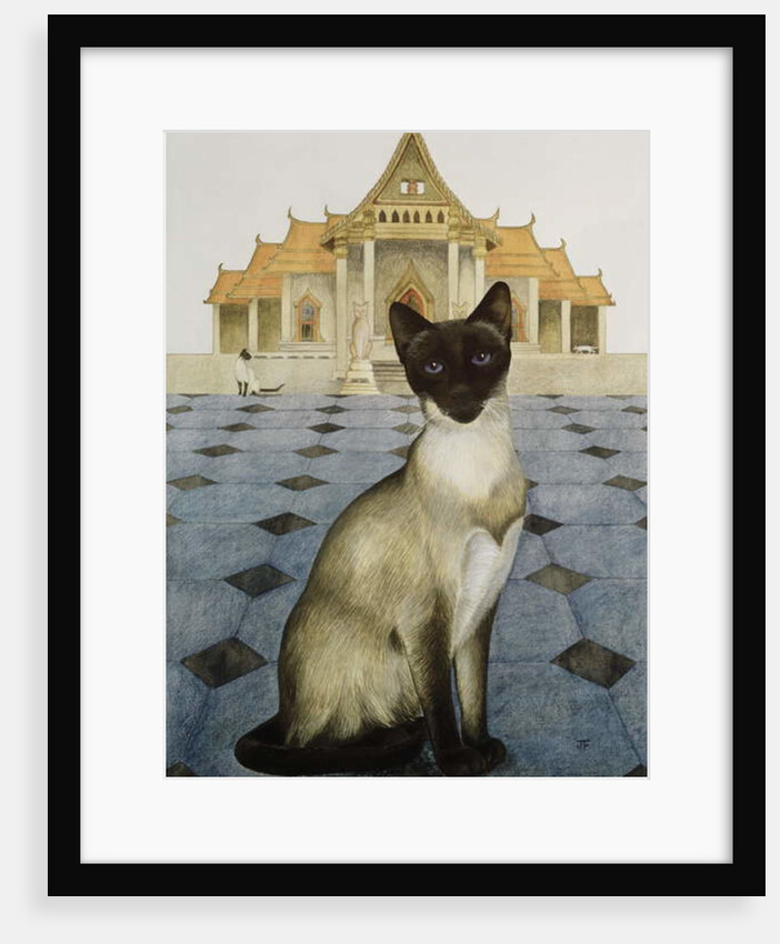 Siamese by Joan Freestone