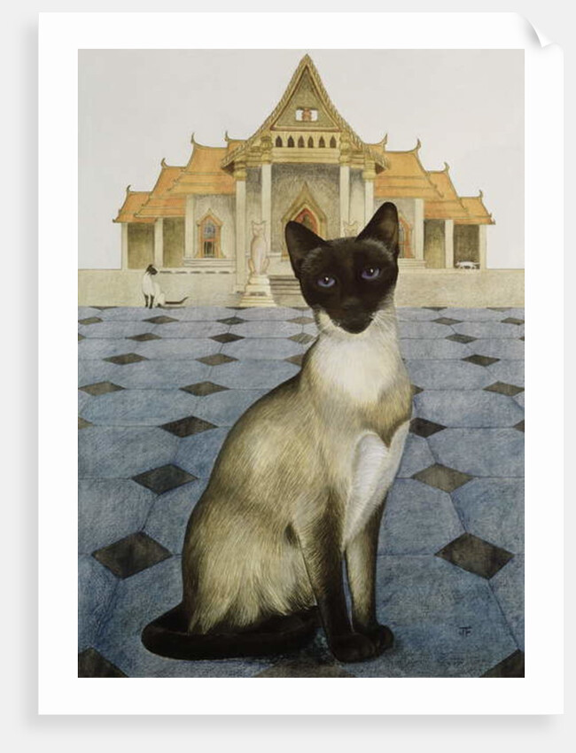 Siamese by Joan Freestone