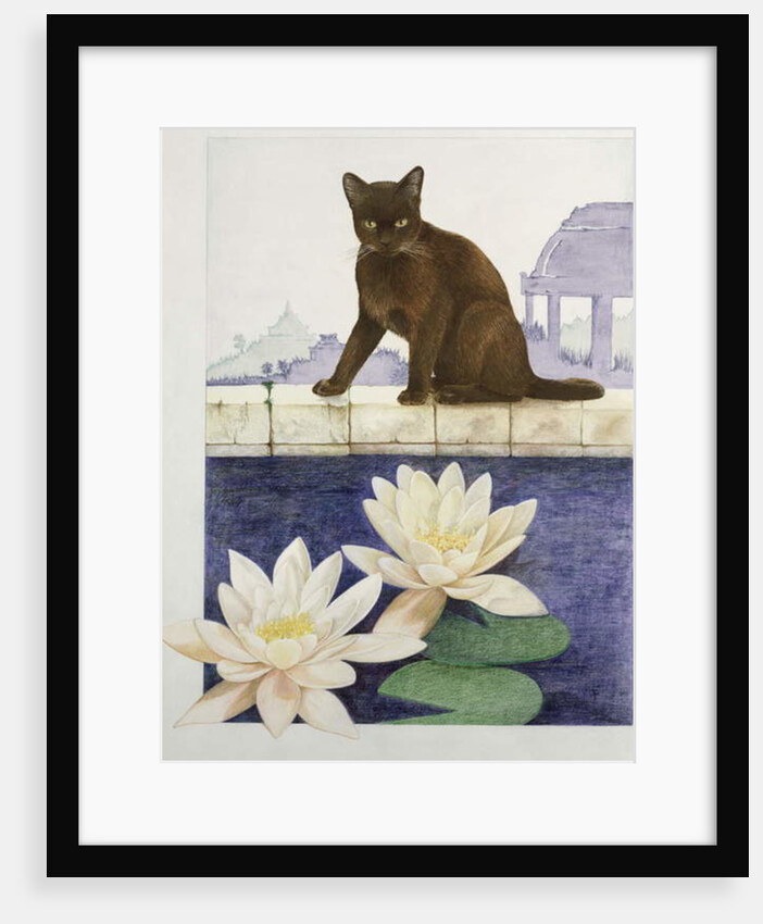 Burmese by Joan Freestone