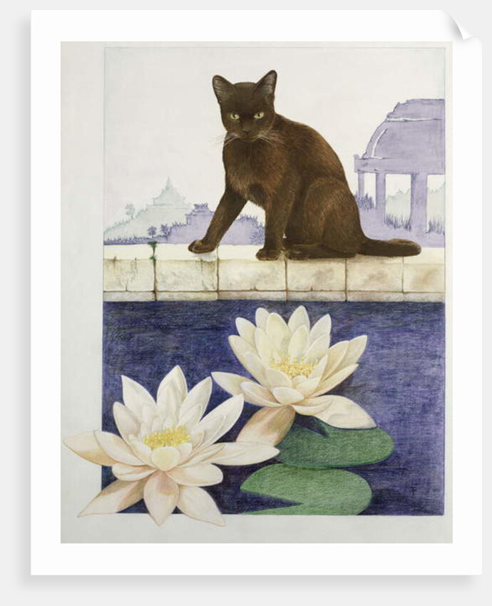 Burmese by Joan Freestone