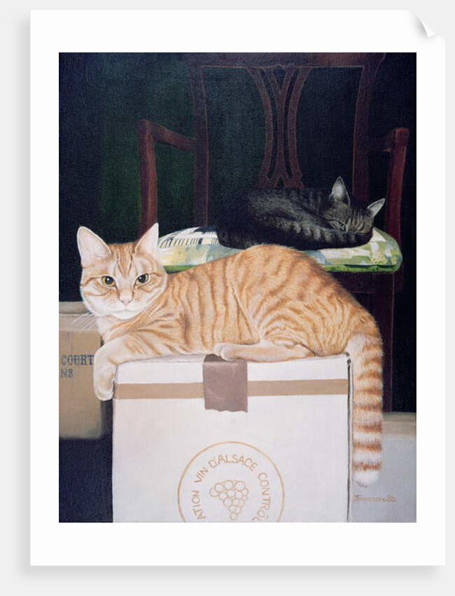 Mango with Molyneux by Joan Freestone