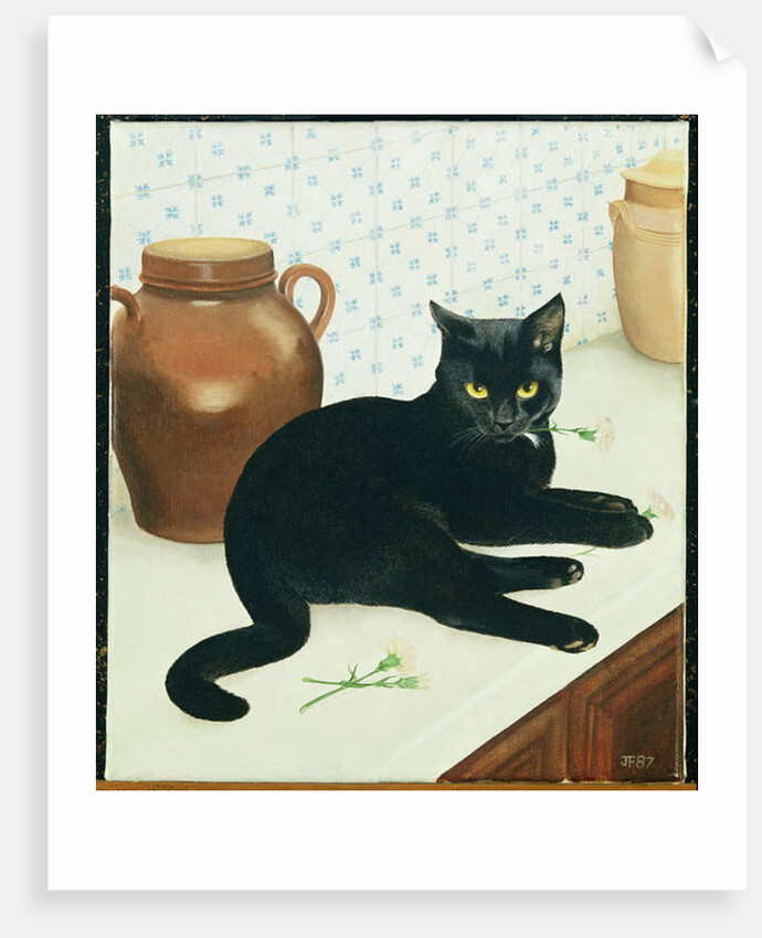 Nerissa by Joan Freestone