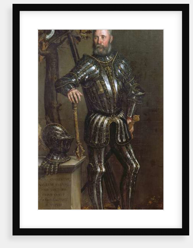 Portrait of Pase Guarienti, Venetian knight and noble by Domenico Brusasorci