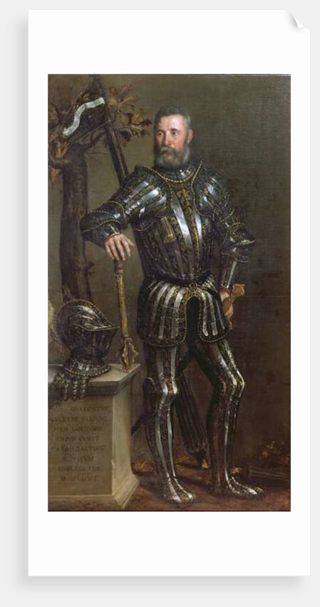 Portrait of Pase Guarienti, Venetian knight and noble by Domenico Brusasorci