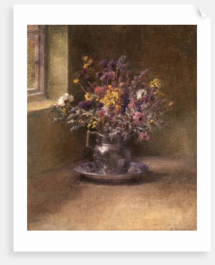 Everlasting Flowers by Joyce Haddon