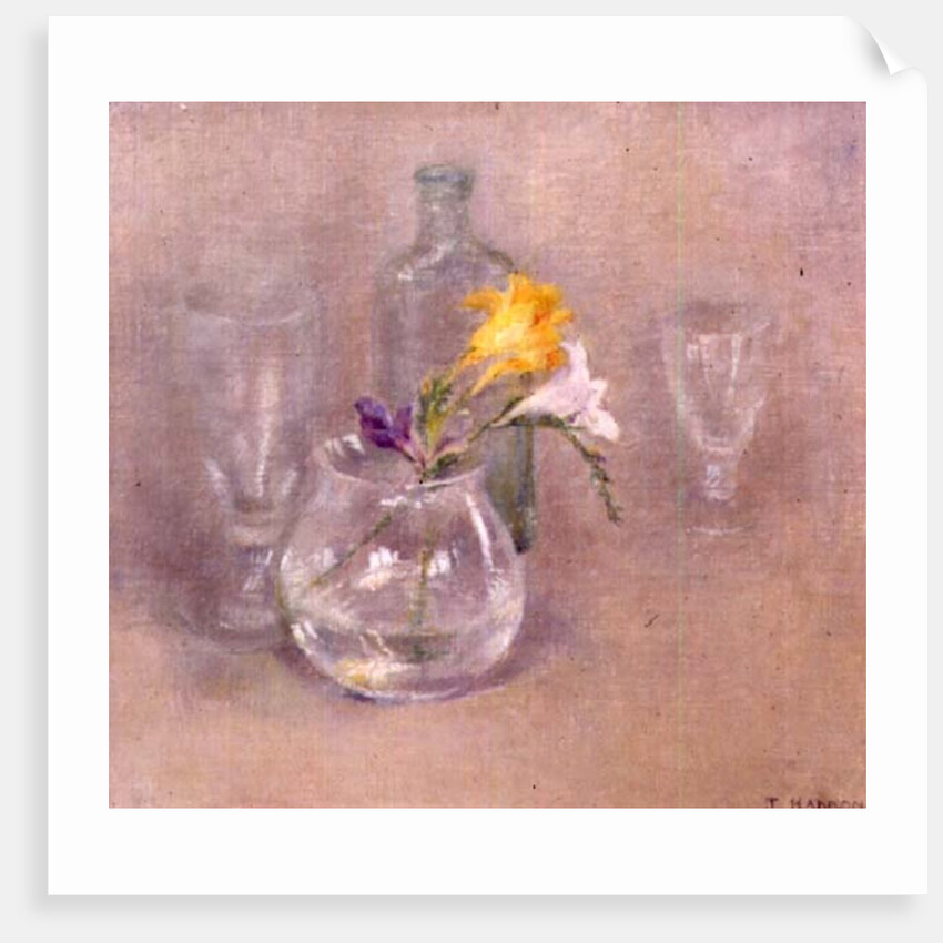 Still Life with Glass by Joyce Haddon