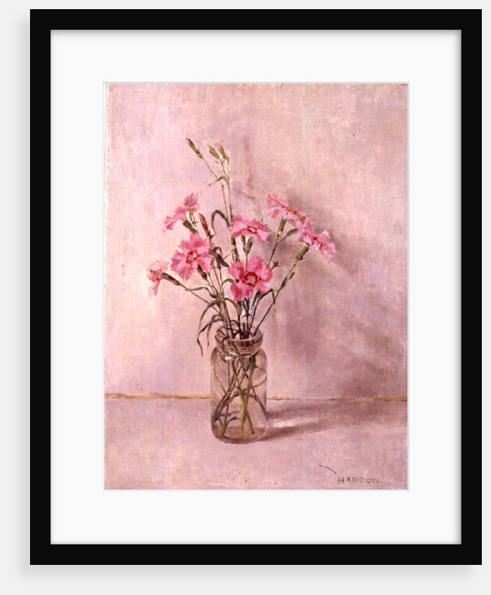 Pinks in a glass jar by Joyce Haddon