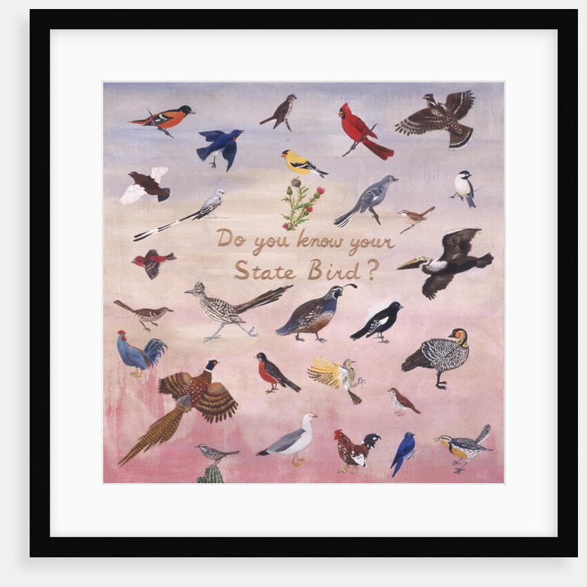Do You Know Your State Bird?, 1996 by Joe Heaps Nelson