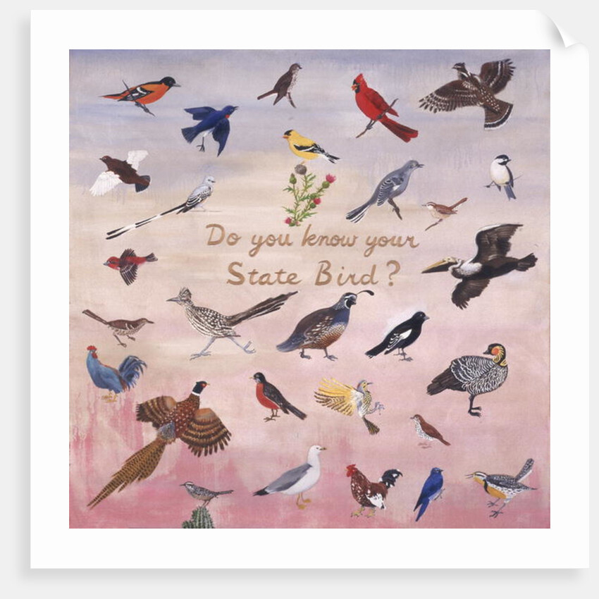 Do You Know Your State Bird?, 1996 by Joe Heaps Nelson