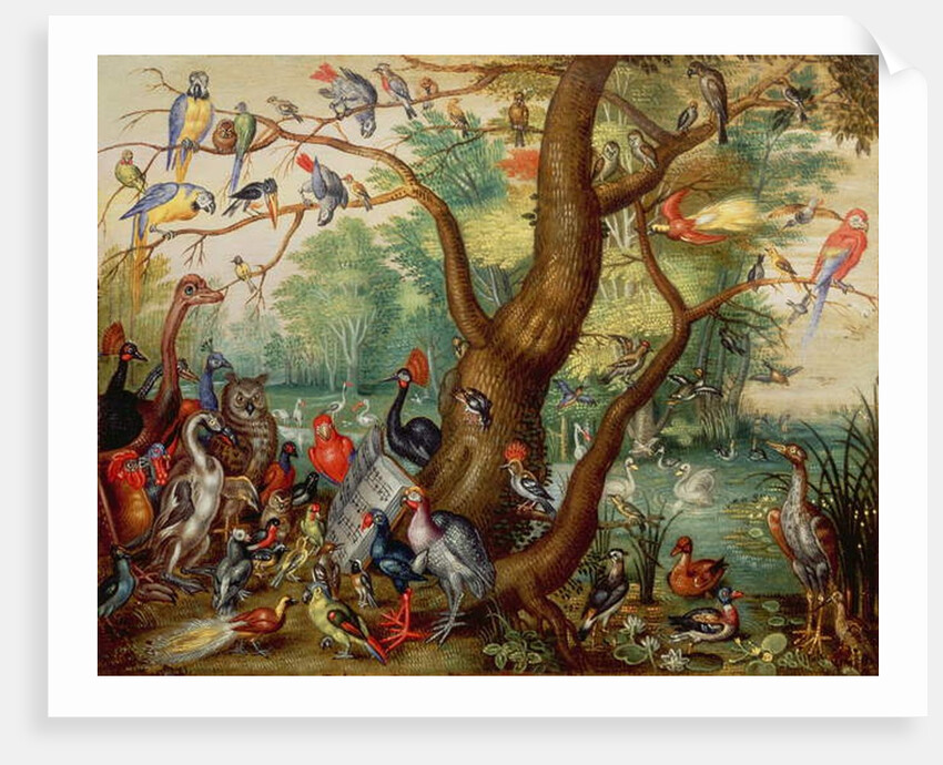 Concert of Birds by Jan van the Elder Kessel