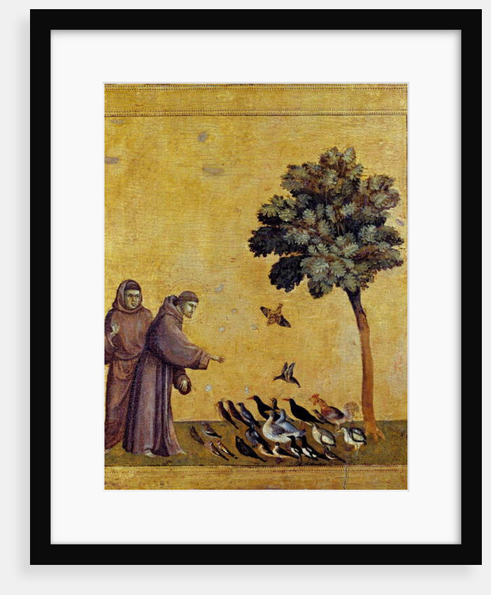 Saint Francois of Assisi preaching to the birds by Giotto