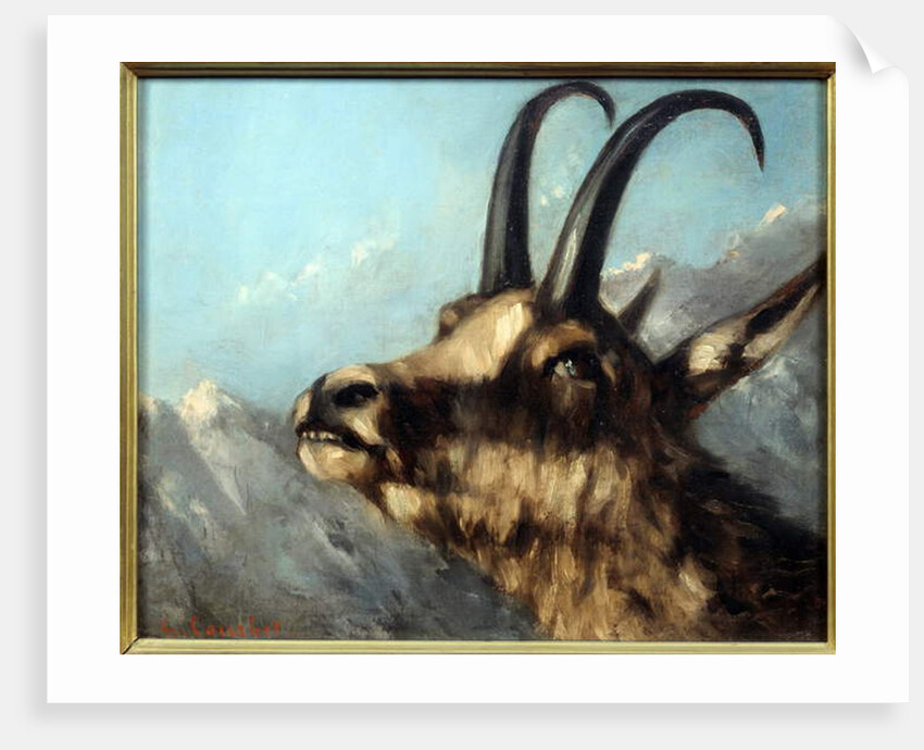 Head Of Chamois, 19th century by Gustave Courbet