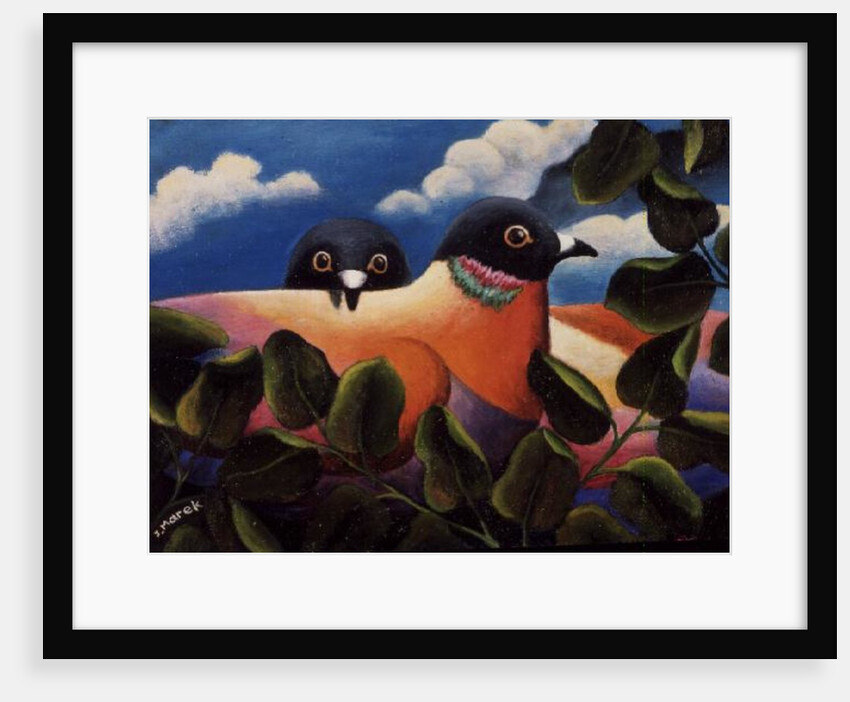 Bill and Coo by Jerzy Marek