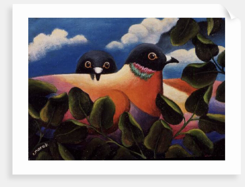 Bill and Coo by Jerzy Marek