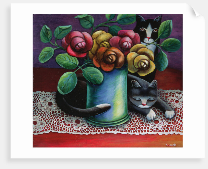 Roses and Old Lace by Jerzy Marek