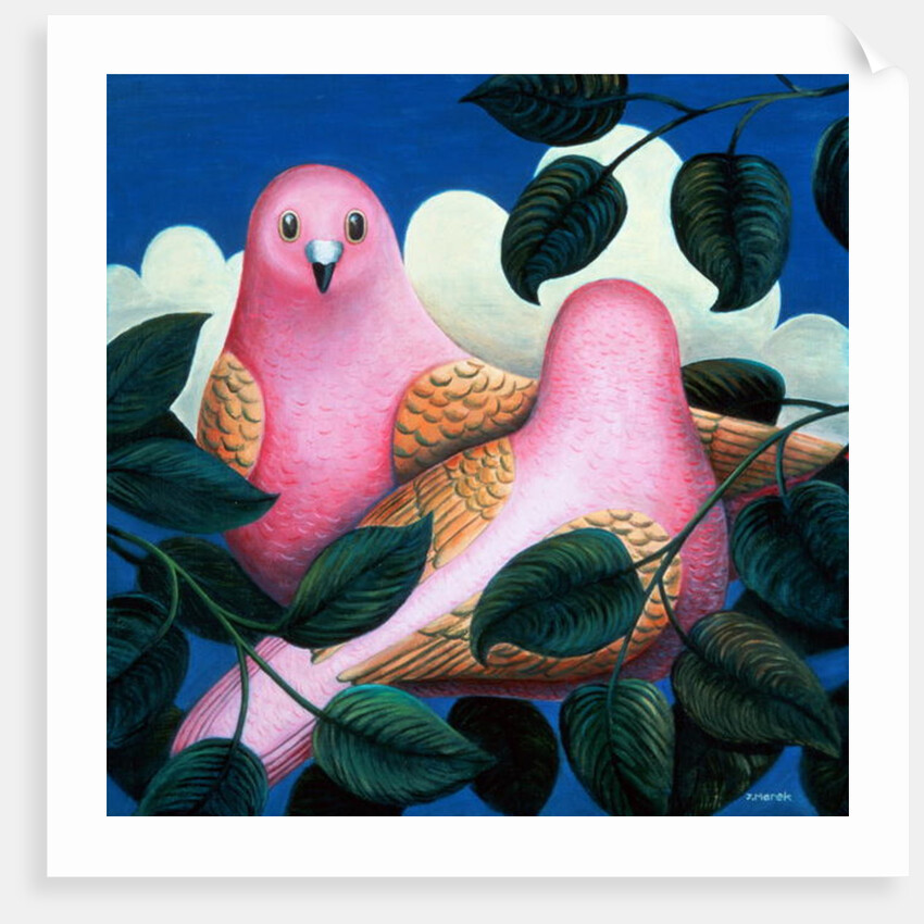 In the Pink by Jerzy Marek