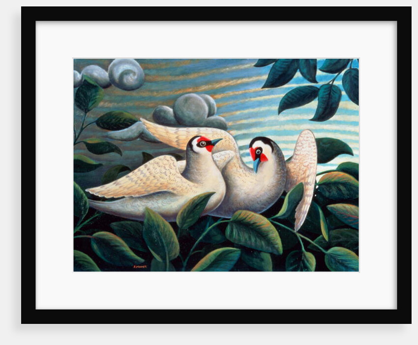 The Love Birds by Jerzy Marek