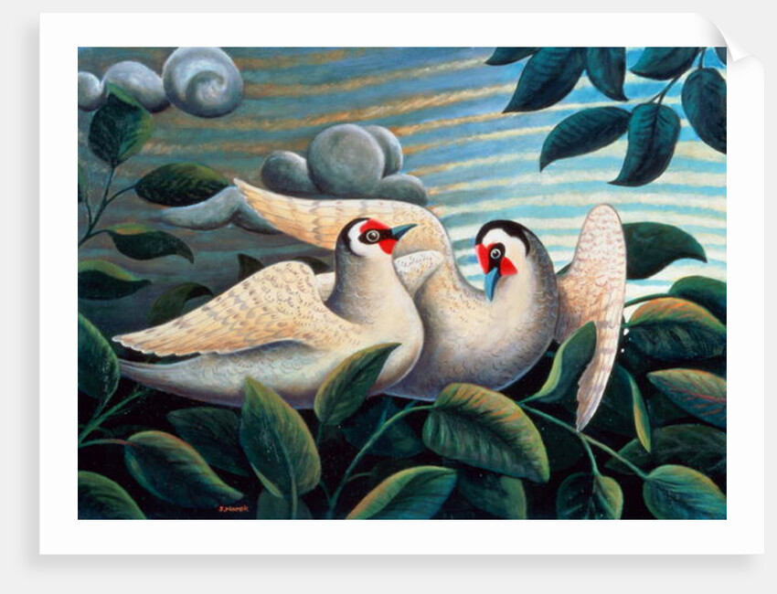 The Love Birds by Jerzy Marek