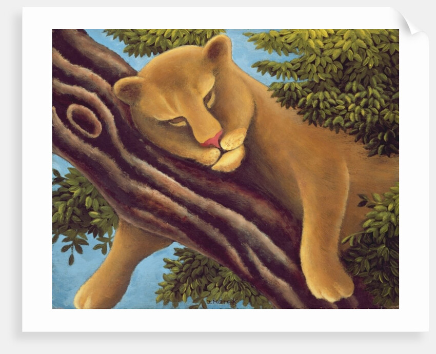 The Dream by Jerzy Marek