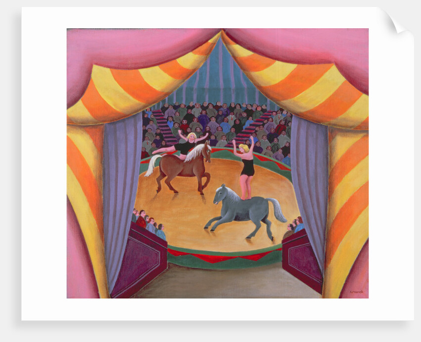 The Circus by Jerzy Marek