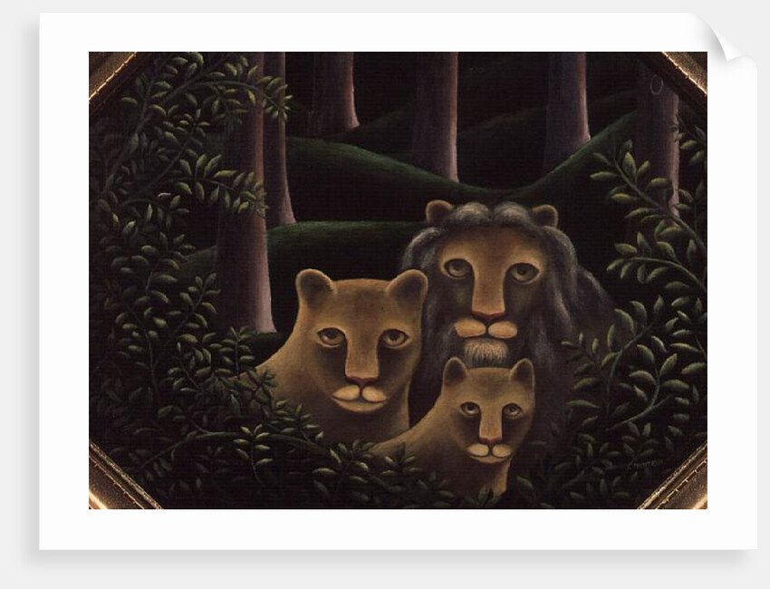 Hiding Place by Jerzy Marek