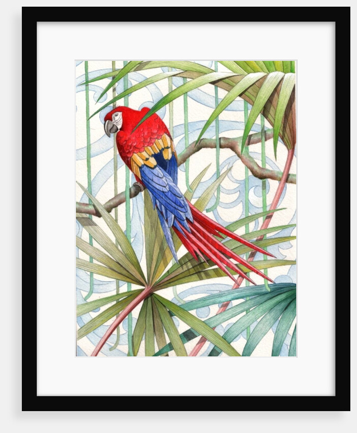 Parrot, 2008 by Jenny Barnard