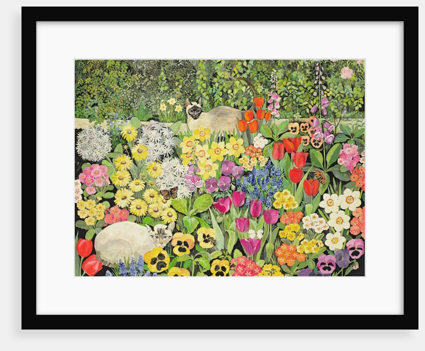 Spring Cats by Hilary Jones