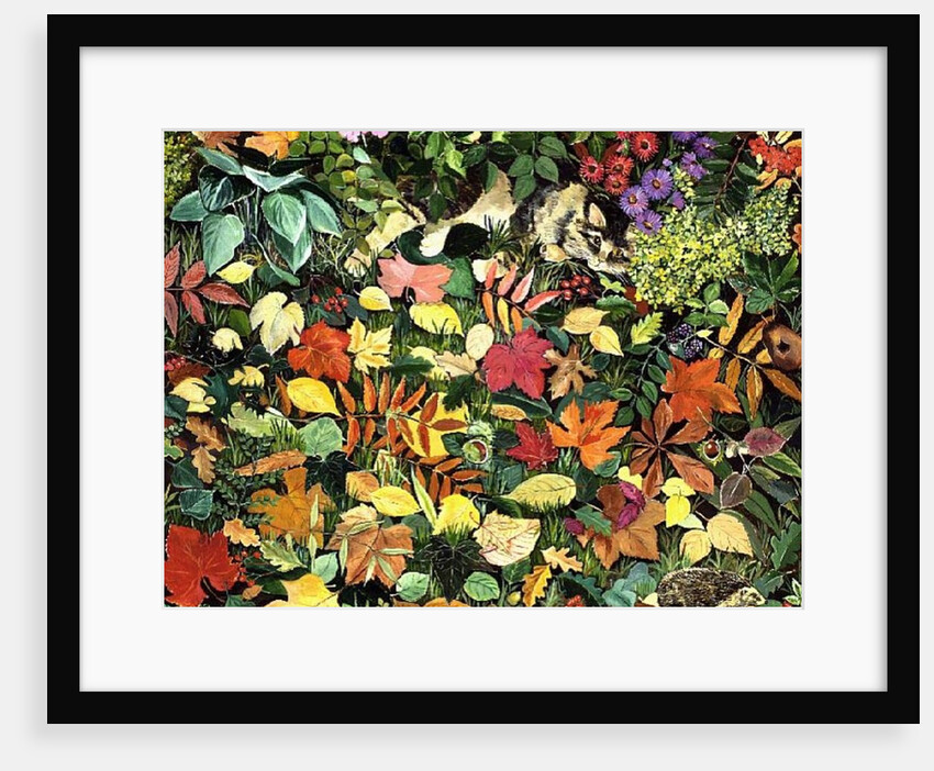 Autumnal Cat by Hilary Jones