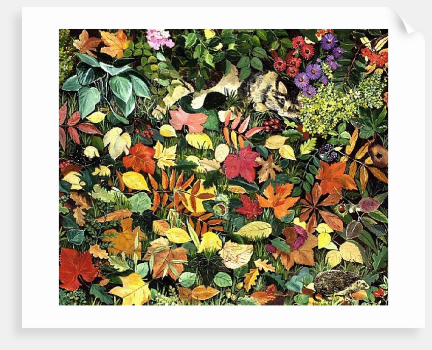 Autumnal Cat by Hilary Jones