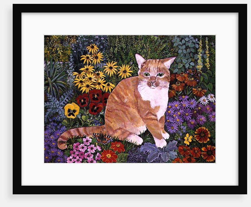 The Carpenter's Cat by Hilary Jones