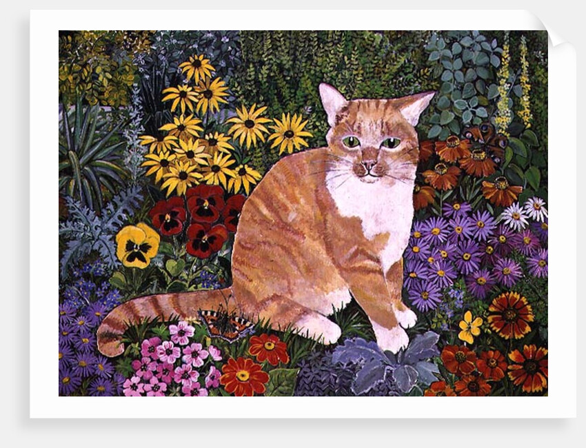 The Carpenter's Cat by Hilary Jones