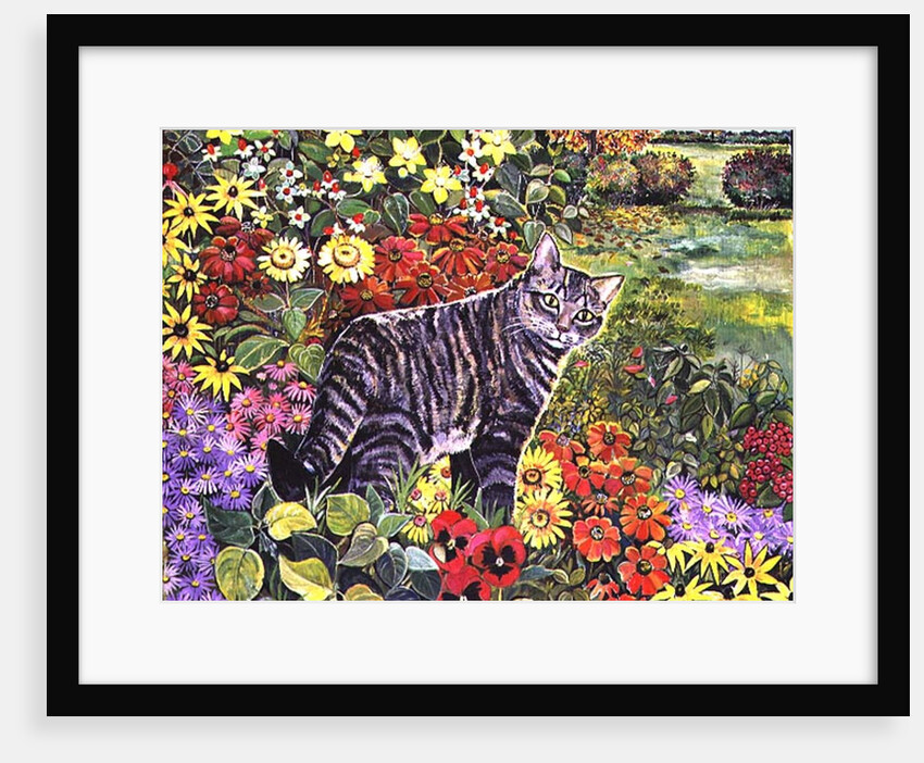 Going My Way? by Hilary Jones