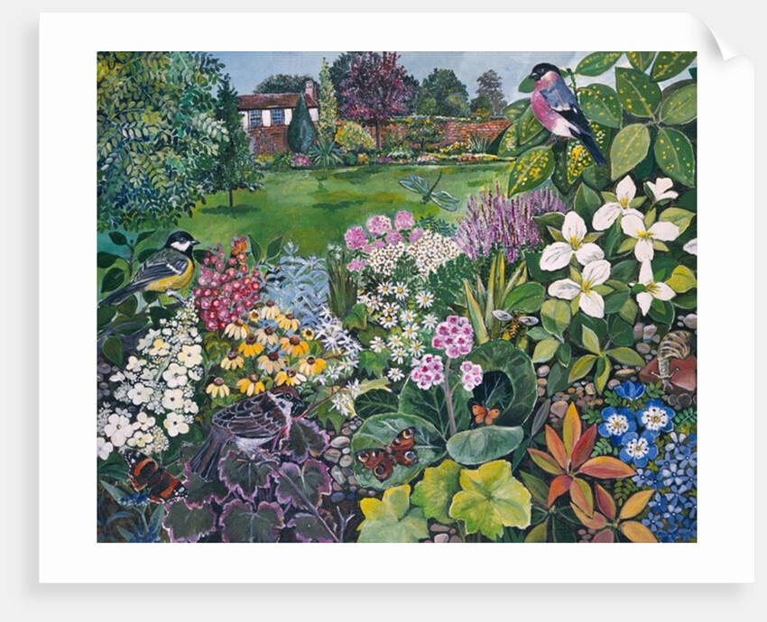 The Garden with Birds and Butterflies by Hilary Jones