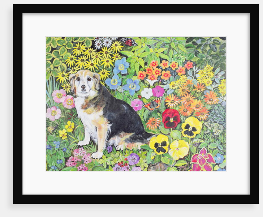 Caylie in the Border by Hilary Jones