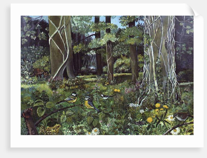 Behind the Squires, Devon by Hilary Jones