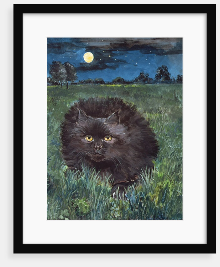 The Cat and the Moon by Hilary Jones