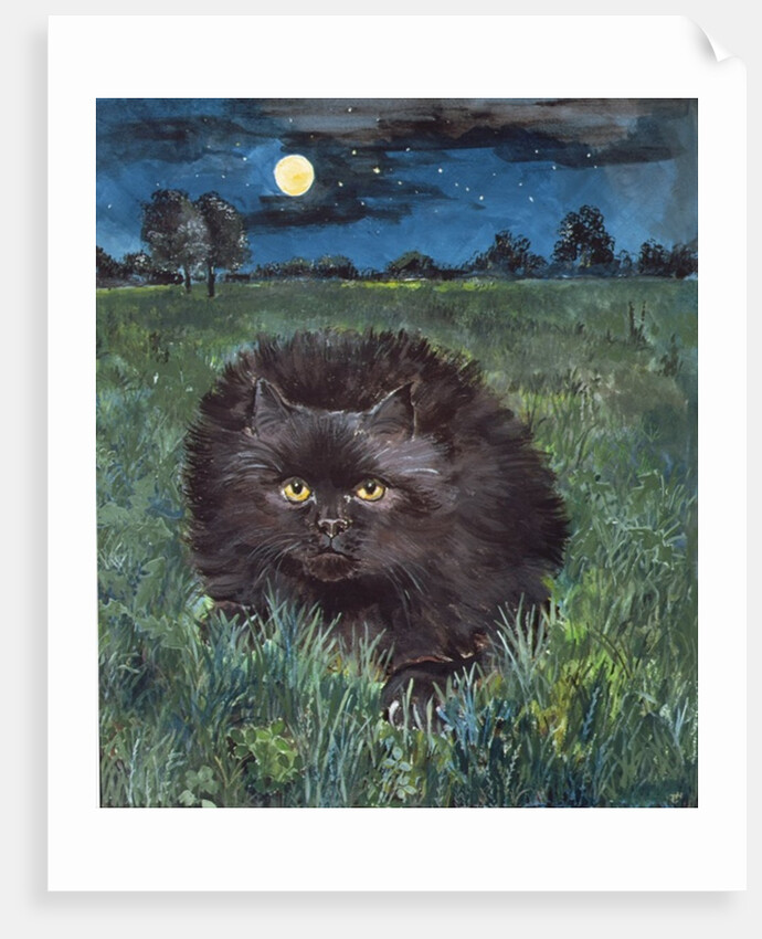 The Cat and the Moon by Hilary Jones