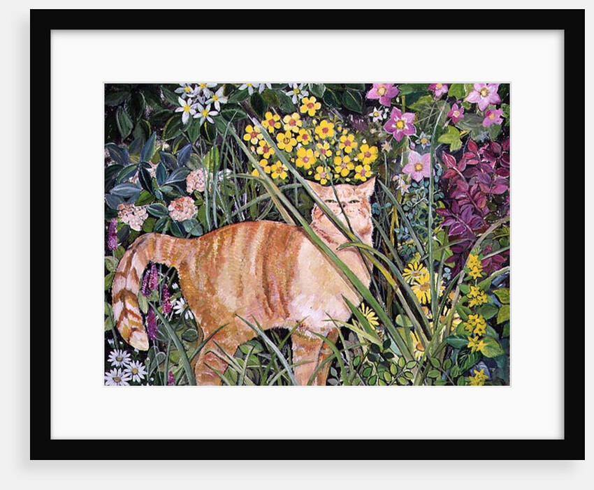Cat and Long Grass, 1996 by Hilary Jones