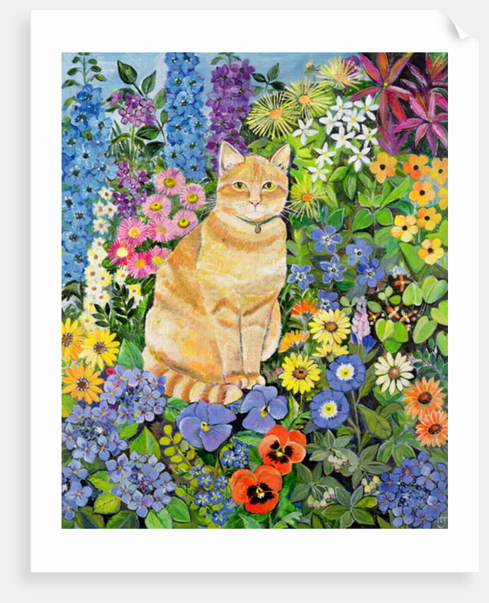 Gordon's Cat, 1996 by Hilary Jones