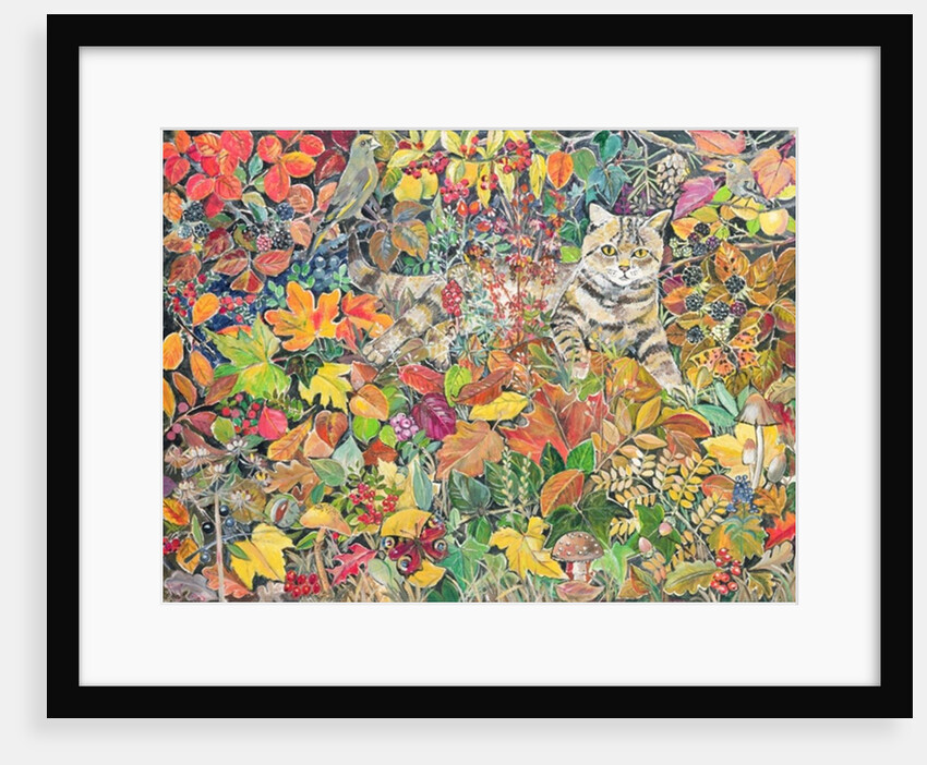 Tabby in Autumn, 1996 by Hilary Jones