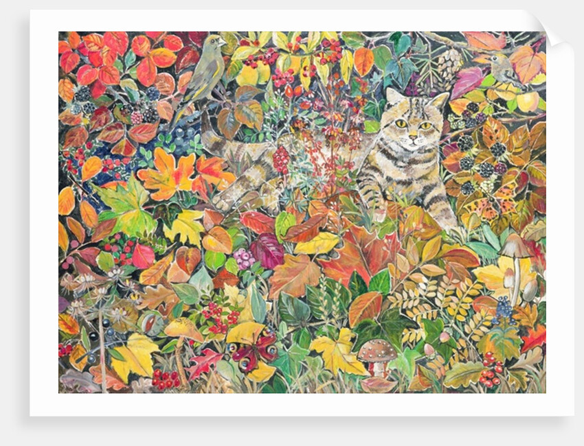Tabby in Autumn, 1996 by Hilary Jones